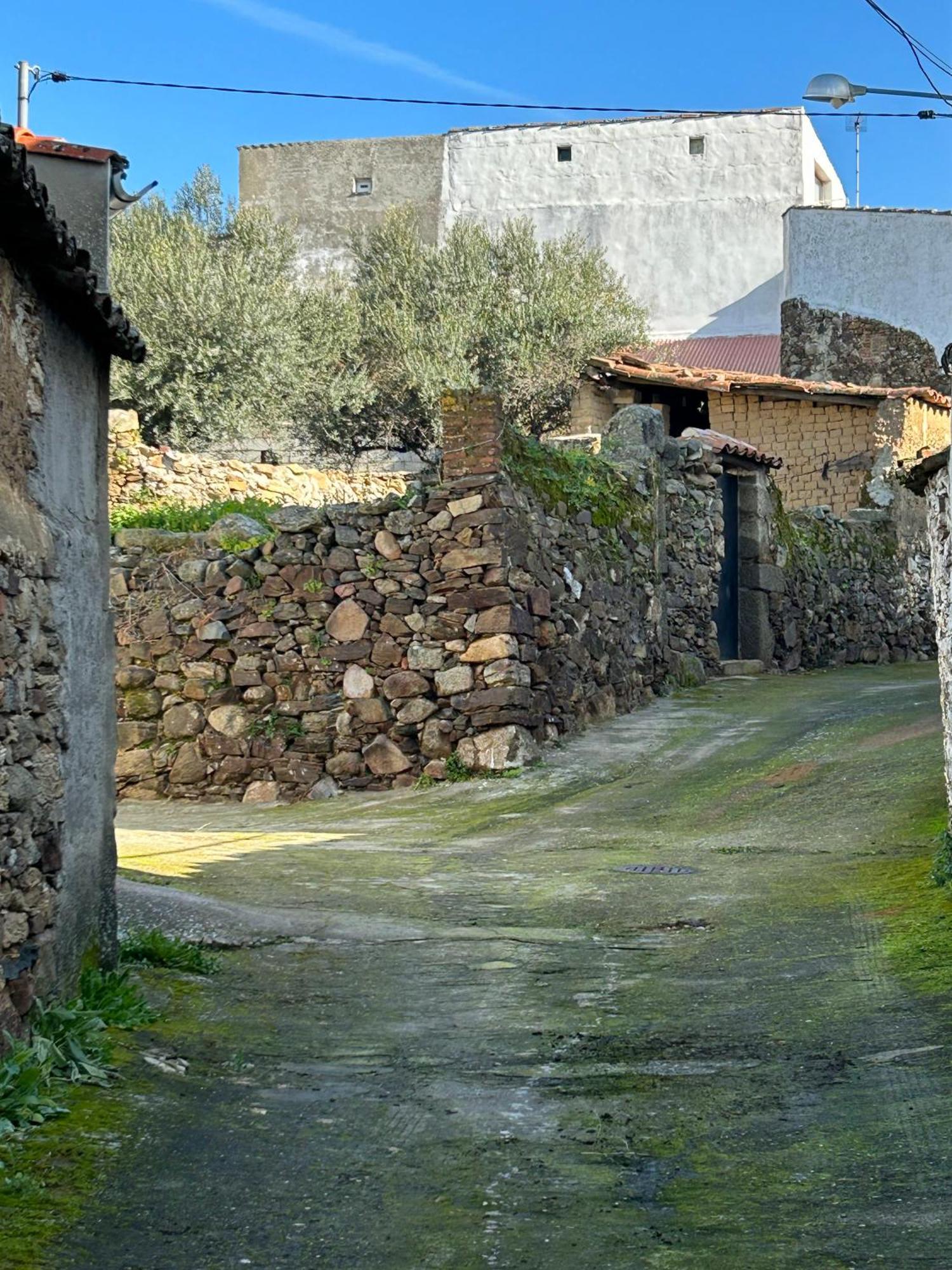 Casa Rural La Manzanilla Salvatierra de Santiago Kültér fotó