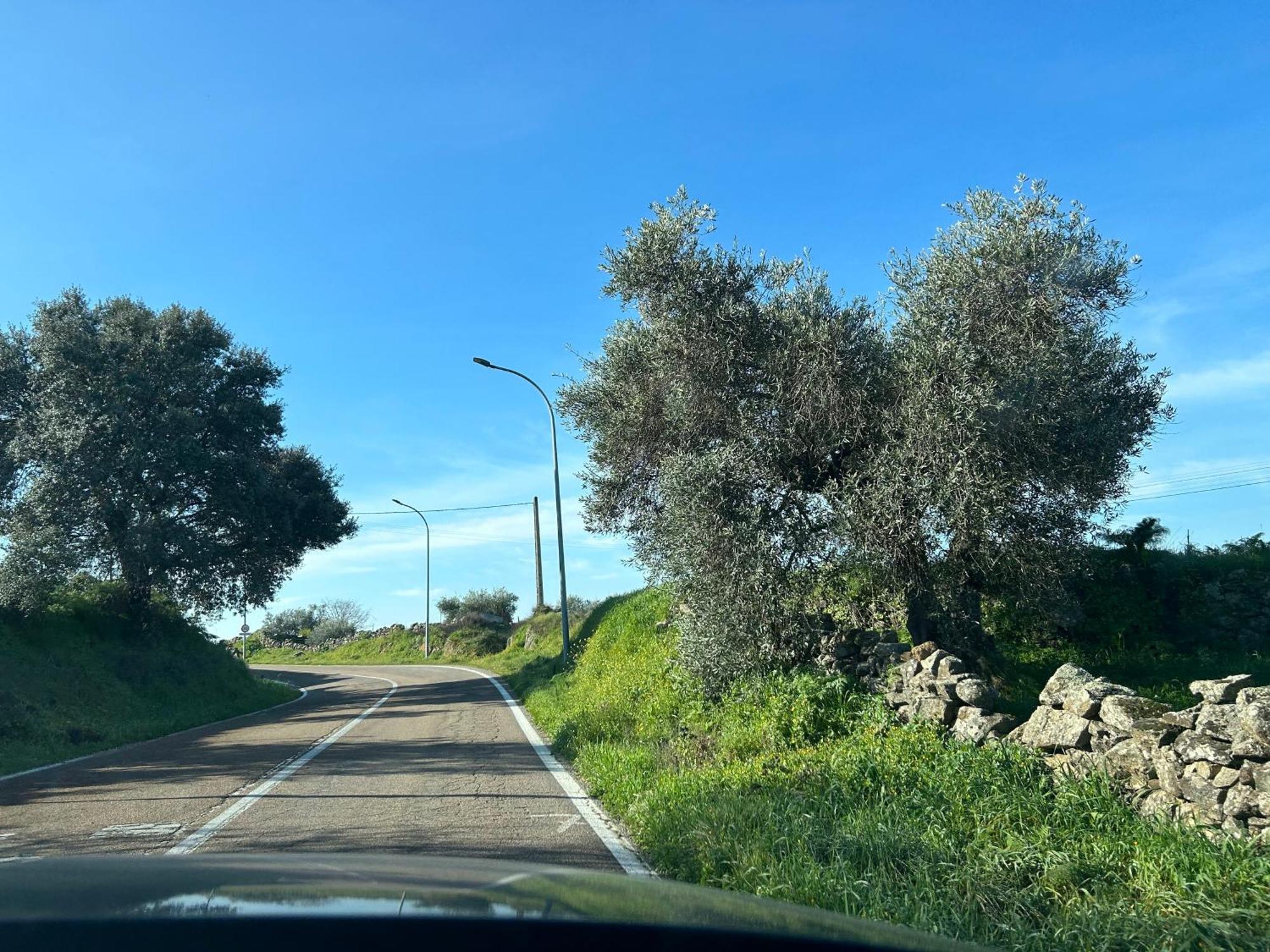 Casa Rural La Manzanilla Salvatierra de Santiago Kültér fotó